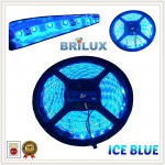 LED Strip Brilux SMD 2835 Mata Kecil | IP 65 - Outdoor - ICE BLUE LED Strip Brilux SMD 2835 Mata Kecil | IP 65 - Outdoor - ICE BLUE