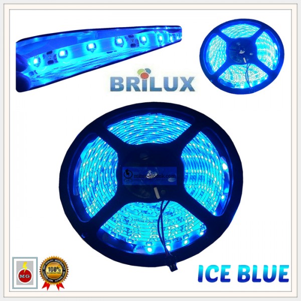 LED Strip Brilux SMD 2835 Mata Kecil | IP 65 - Outdoor - ICE BLUE LED Strip Brilux SMD 2835 Mata Kecil | IP 65 - Outdoor - ICE BLUE